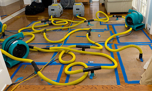 Professional Crawl Space Water Removal technician working in Ellendale, MN